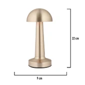 Orvin Nikel Şarjlı Dokunmatik Dim Edilebilir 3 Renkli Masa Lambası 2000ma Pil Gücü Ile 7 Saat thumbnail 5