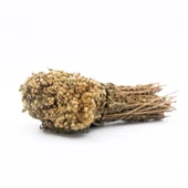 Datça Dal Kekik - 1