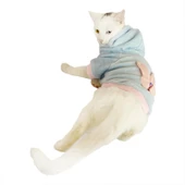 Blue Pink Bunny Sweatshirt Kedi Süeteri Kedi Kıyafeti thumbnail 4