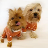 Sunny Penye Tulum Köpek Tulumu  Köpek Elbisesi - 2