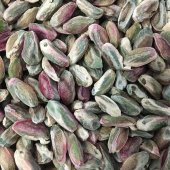 Fıstık Paketi Boz (yeşil) iç Antep Fıstığı 1.5 Kg - 2
