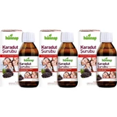Hünnap Karadut Şurubu 50ML (3 Lü Set) thumbnail 1
