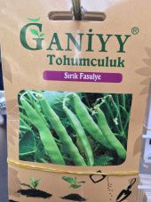 Ganiyy Sırık Fasulye Tohumu Kaliteli Güvenilir - 1