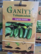 Ganiyy Çengel Köy Salatalık Tohumu Kaliteli Güvenilir - 1