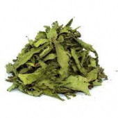 Stevia Şeker Otu 100 Gr Ücretsiz Kargo - 1