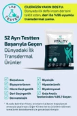 Lipatch VITALITY Life Style Zindelik ve Denge Bandı 25 Adet - 2