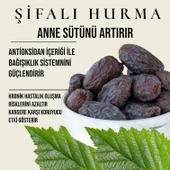 Kudüs Hurma 1 Kg - 2