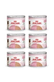 Mother & Babycat Anne Hamile Ve Yavru Kediler Için Konserve Kıyılmış Pate Yaş Mama 195 Gr X 6 Adet - 1