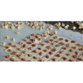 EV MANTISI (1kg) - 2