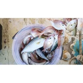 Misina İpi 300 Metre thumbnail 1