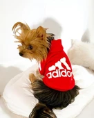 Red Adidog Kapşonlu Sweatshirt Köpek Kazağı - 2