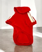 Red Adidog Kapşonlu Sweatshirt Köpek Kazağı - 6