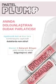 PASTEL PROFASHION PLUMP UP EXTRA HYDRAYTING PLUMPING GLOSS 203 - 5