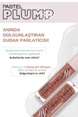 PASTEL PROFASHION PLUMP UP EXTRA HYDRAYTING PLUMPING GLOSS 205 - 3