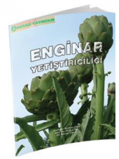 Enginar Yetiştiriciliği Kitabı - 1