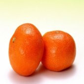 Tüplü Şeker Oranı Yüksek Fremont Mandalin Fidanı - 2