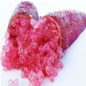Meyve Verme Yaşında Tüplü Havyar Limon Mia Rose Finger Lime Fidanı - 8