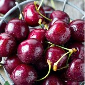 Tüplü Tam Bodur 0900 Ziraat Kiraz Fidanı - 6