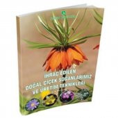 İhraç Edilen Doğal Çiçek Soğanlarımız ve Üretim Teknikleri Kitabı - 1