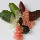 Tüplü Havyar Limon Fidanı Paketi (4 Farklı Cins) - 4