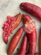 Meyve Verme Yaşında Tüplü Havyar Limon Red Champagne Finger Lime Fidanı - 4
