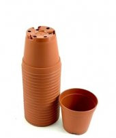 Kaktüs Sukulent Üretim Saksısı 5,5 Luk (10000 adet) - 5