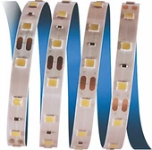 5 METRE CATA CT 4481 İç Mekan 12V 10 Çipli Şerit Led 3200K Günışığı thumbnail 1