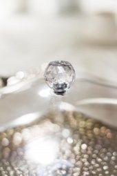 Akrilik Şeffaf 4lü Tek Kapaklı Kahvaltılık & Sunumluk - 4