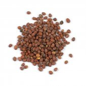 Kırmızı Turp Tohumu 100 Gr Ücretsiz Kargo - 1