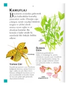 İlk Bilim Kütüphanem Minik Canlılar İş Bankası thumbnail 2