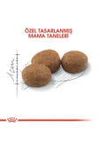 Royal Canin  Royal Canin Sterilised 37 Kısırlaştırılmış Kedi Maması 4kg - 5