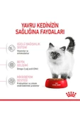 Royal Canin  Royal Canin Cat Fhn Kitten Kedi Maması 4kg - 7