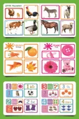 DIYTOY  DIYTOY Eğitici Ilk Kitaplarım Serisi Set 6 Adet - 3