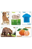 Circle Toys  Circle Toys arcnx Hisset Tanı Eğitim Kartları, Zeka Kartları Modern Tsrm 1022995 - 5