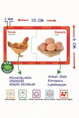 DIYTOY  DIYTOY İlişki Kurma Eğlenceli Bulmacalar Eğitici Oyuncak Set Puzzle - 3