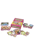 DIYTOY  DIYTOY 1185 Flash Cards - Hayvanlar / 2 Yaş - 1