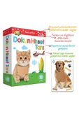 Circle Toys  Circle Toys arcnx Hisset Tanı Eğitim Kartları, Zeka Kartları Modern Tsrm 1022995 - 4