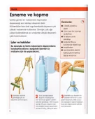 Uygulamalı Bilim Madde İş Bankası thumbnail 2