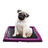 Akıllı Köpek Tuvaleti 60x45x4,5 cm - 1