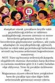 sharp&art  Taş Boyama Anne-çocuk Etkinliği, 30 Parça Taş Boyama Seti, El Beyin Gelişimi Için Aktivite - 6
