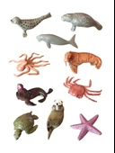 Derinlerin Gizemli Dünyası Çocuğunuzun Odağında! Mini Boy 10 lu Okyanus Canlıları Hayvanları Seti thumbnail 1