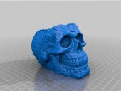 Kuru Kafa İskelet (86x123x89mm) 3D Baskı - 1
