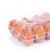 15li Plastik Yumurta Viyolü (200 Adet) - 3