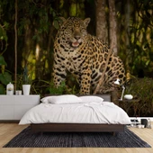 İstanbul Eminönü Manzaralı Duvar Kağıdı thumbnail 2