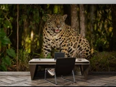 İstanbul Eminönü Manzaralı Duvar Kağıdı thumbnail 4