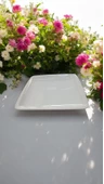 Güral porselen 6 adet krem   25 cm Orlando servis tabak - 1