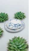 EVMUTFAK Güral porselen suje 6 kişilik 24 parça yemek takımı 1891 - 1