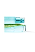 L'Oreal Paris Nem Terapisi Aloe Vera Suyu Kuru ve Hassas Ciltler 70 ml - 6