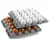 20 li Yumurta Viyolü 25 Lbs (ÇOK BÜYÜK BOY XL VE ÇİFT SARI VİYOLÜ) - 2