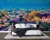 Akvaryum Mercan Manzaralı Duvar Kağıdı thumbnail 2